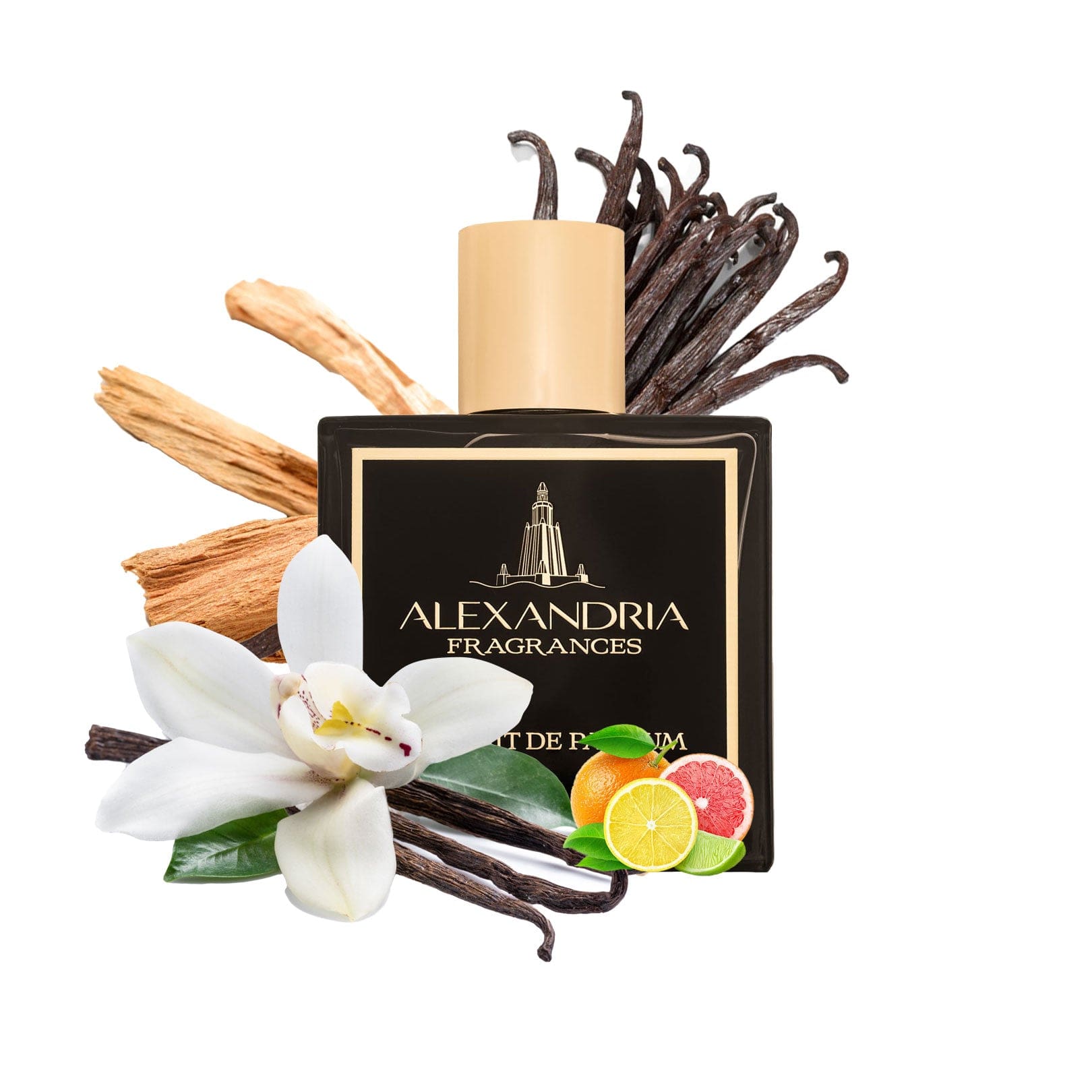 AlexandriaUK Perfume 30ml Alexandria Signature  | Dupe | Clone | Alternative | Luxury | Quality | Copy Extrait de Parfum best dupe perfume