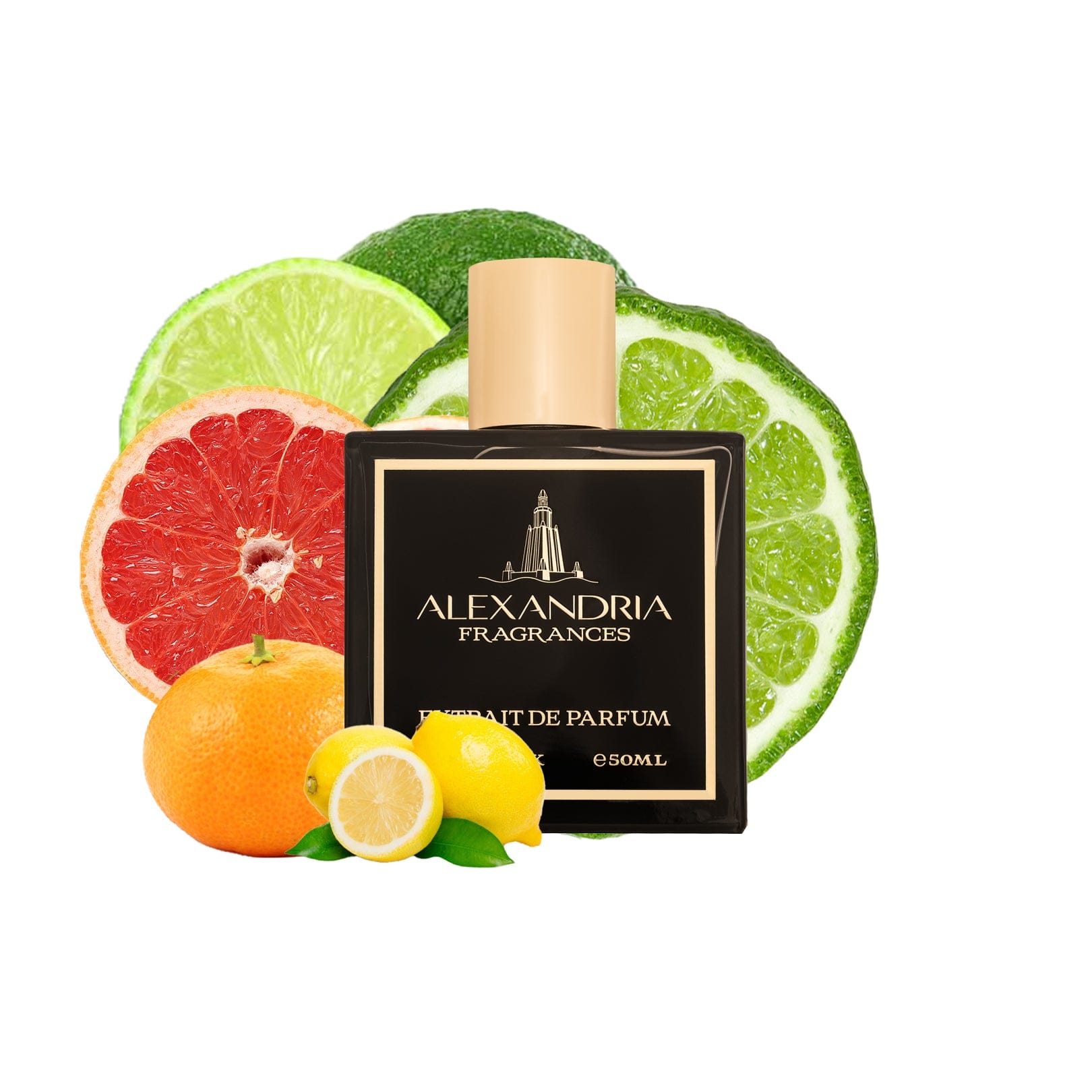 AlexandriaUK Perfume 30ml Bleu Oceanic Inspired by Roja's Oceania | Dupe | Clone | Alternative | Luxury | Quality | Copy Extrait de Parfum best dupe perfume