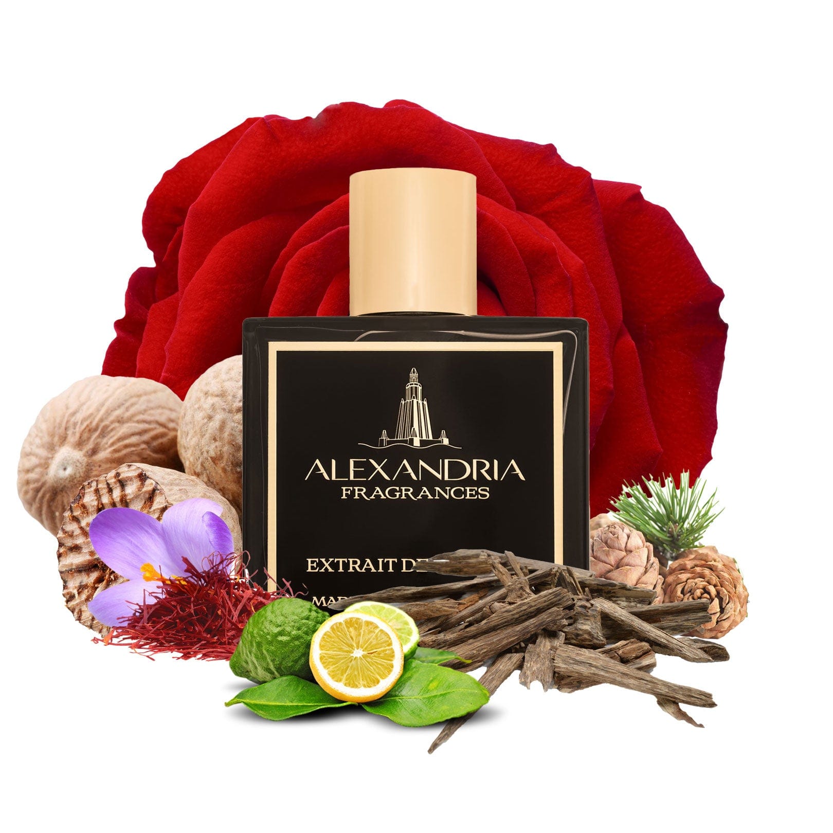 AlexandriaUK Perfume 30ml Executive Aoud Inspired By Roja Dove H Exclusive Aoud | Dupe | Clone | Alternative | Luxury | Quality | Copy Extrait de Parfum best dupe perfume