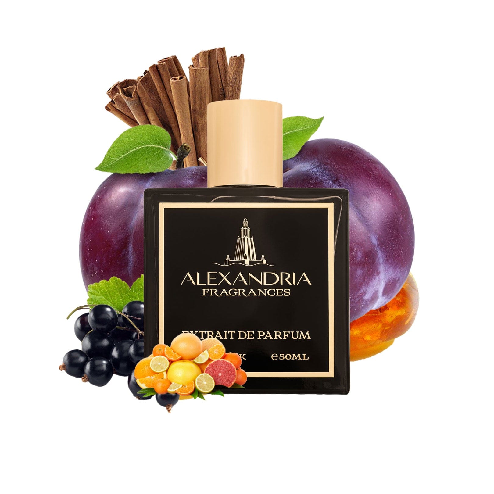 AlexandriaUK Perfume 30ml FAME 15 Inspired By Bond No. 9 Andy Warhol | Dupe | Clone | Alternative | Luxury | Quality | Copy Extrait de Parfum best dupe perfume