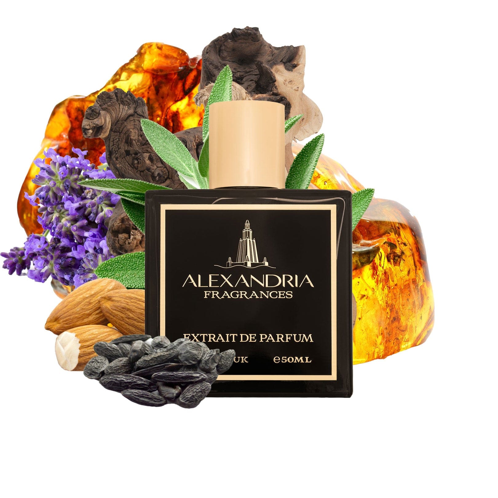 AlexandriaUK Perfume 30ml Funtastic Inspired By Tom Ford's F***** Fabulous | Dupe | Clone | Alternative | Luxury | Quality | Copy Extrait de Parfum best dupe perfume