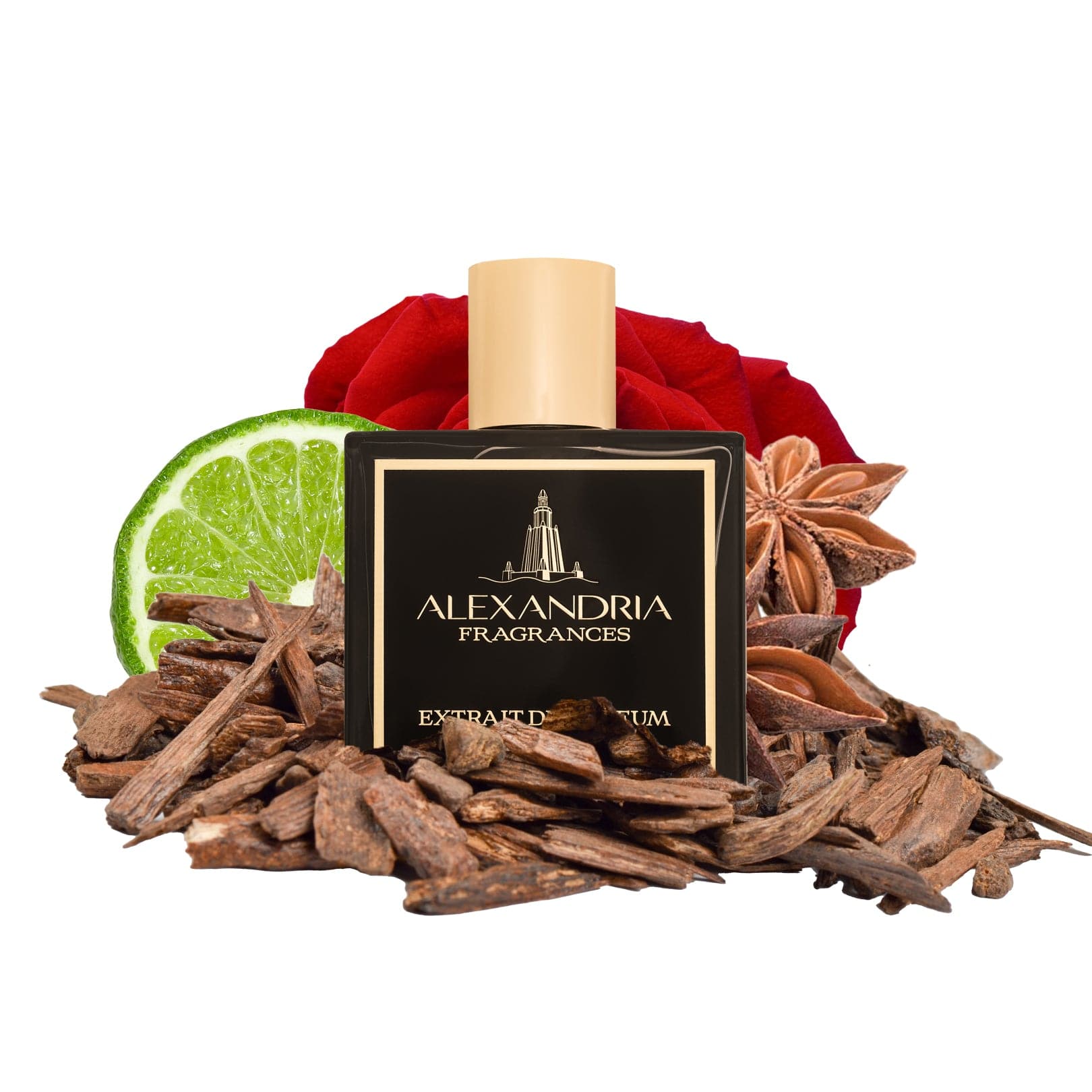 AlexandriaUK Perfume 30ml Key Of Life Inspired By Roja's United Arab Emirates | Dupe | Clone | Alternative | Luxury | Quality | Copy Extrait de Parfum best dupe perfume