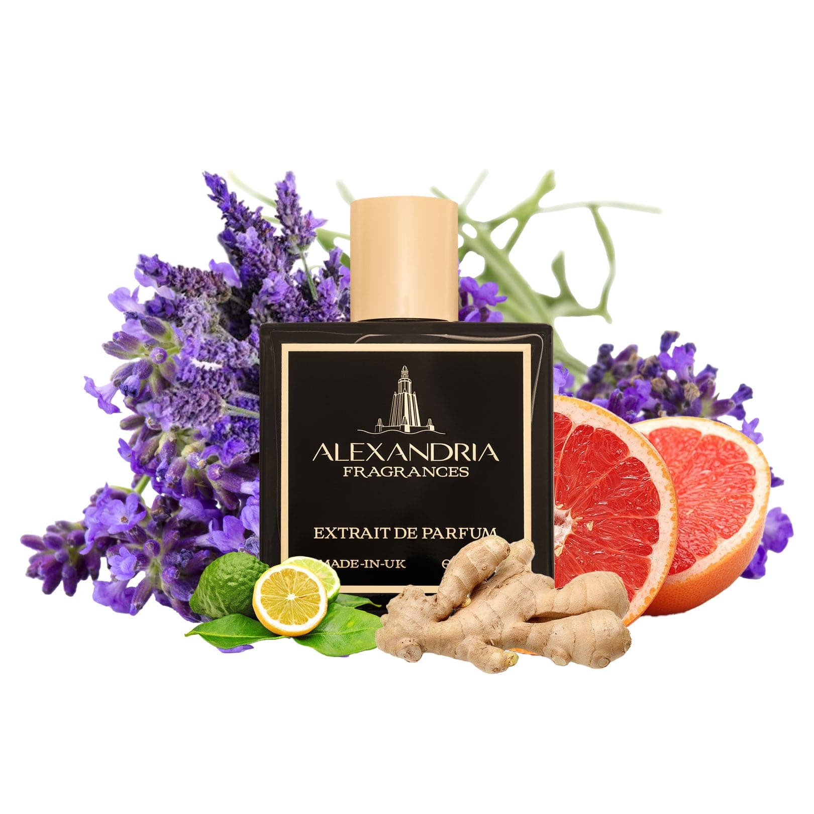 AlexandriaUK Perfume 30ml L’INVASION Inspired By MDCI's Invasion Barbare | Dupe | Clone | Alternative | Luxury | Quality | Copy Extrait de Parfum best dupe perfume