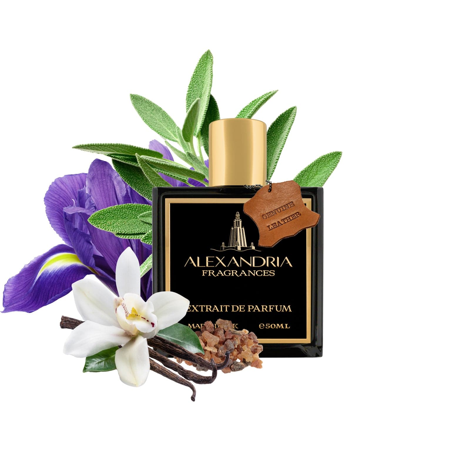 AlexandriaUK Perfume 30ml Rome Inspired By Leathered By Memo Italian  Leather | Dupe | Clone | Alternative | Luxury | Quality | Copy Extrait de Parfum best dupe perfume