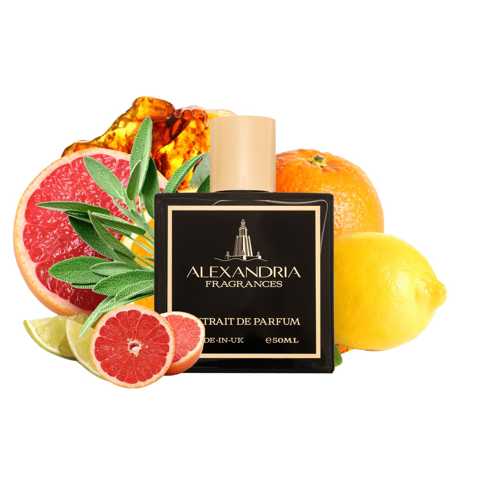 AlexandriaUK Perfume 30ml Summer 1872 Inspired By Clive Christian 1872  | Dupe | Clone | Alternative | Luxury | Quality | Copy Extrait de Parfum best dupe perfume