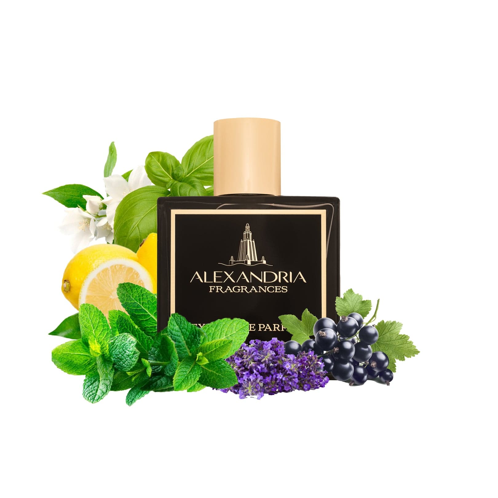 AlexandriaUK Perfume 30ml Turin 21 Inspired By Xerjoff Torino 21  | Dupe | Clone | Alternative | Luxury | Quality | Copy Extrait de Parfum best dupe perfume