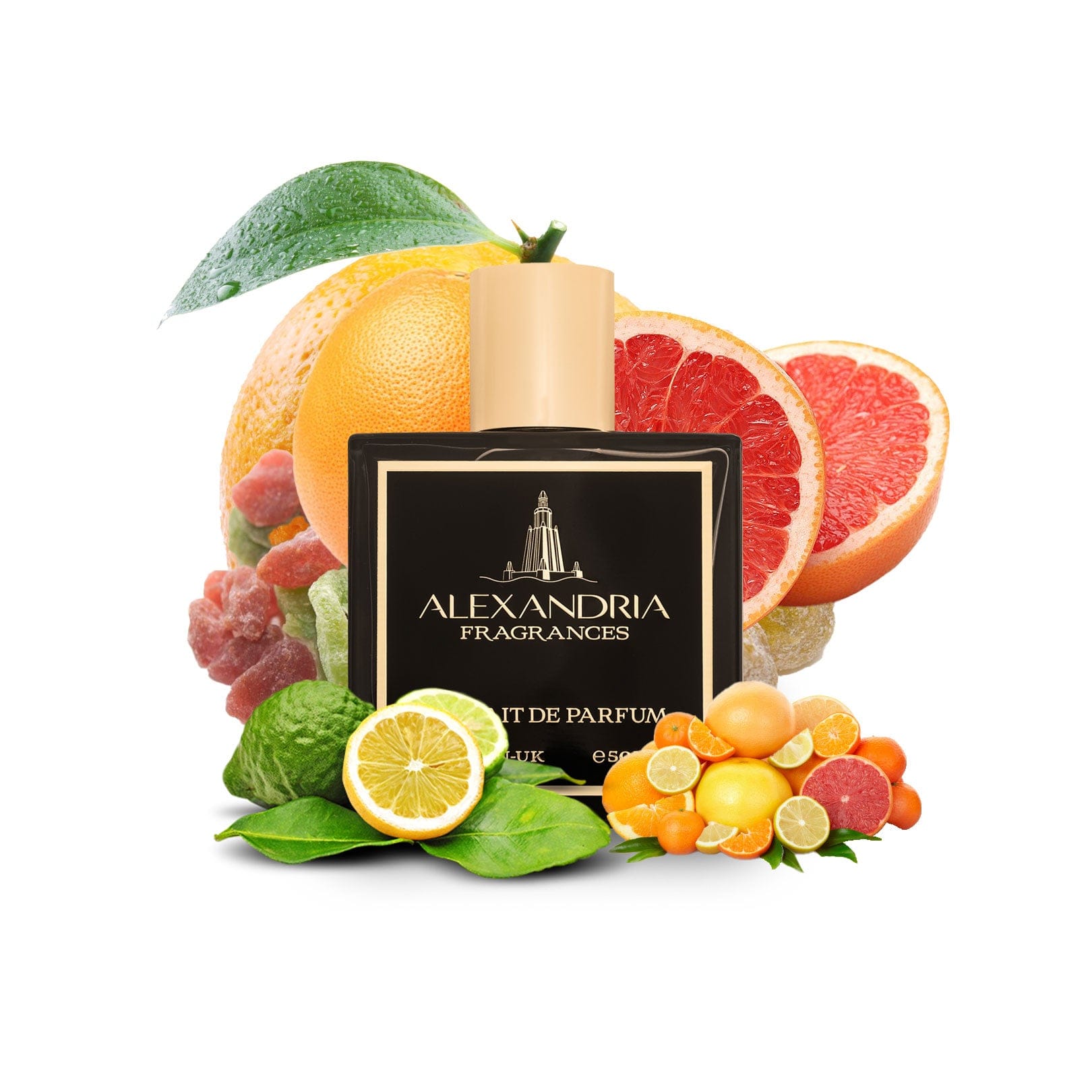 AlexandriaUK Perfume 5ml Afternoon Splash Inspired By Afternoon Swim | Dupe | Clone | Alternative | Luxury | Quality | Copy Extrait de Parfum best dupe perfume