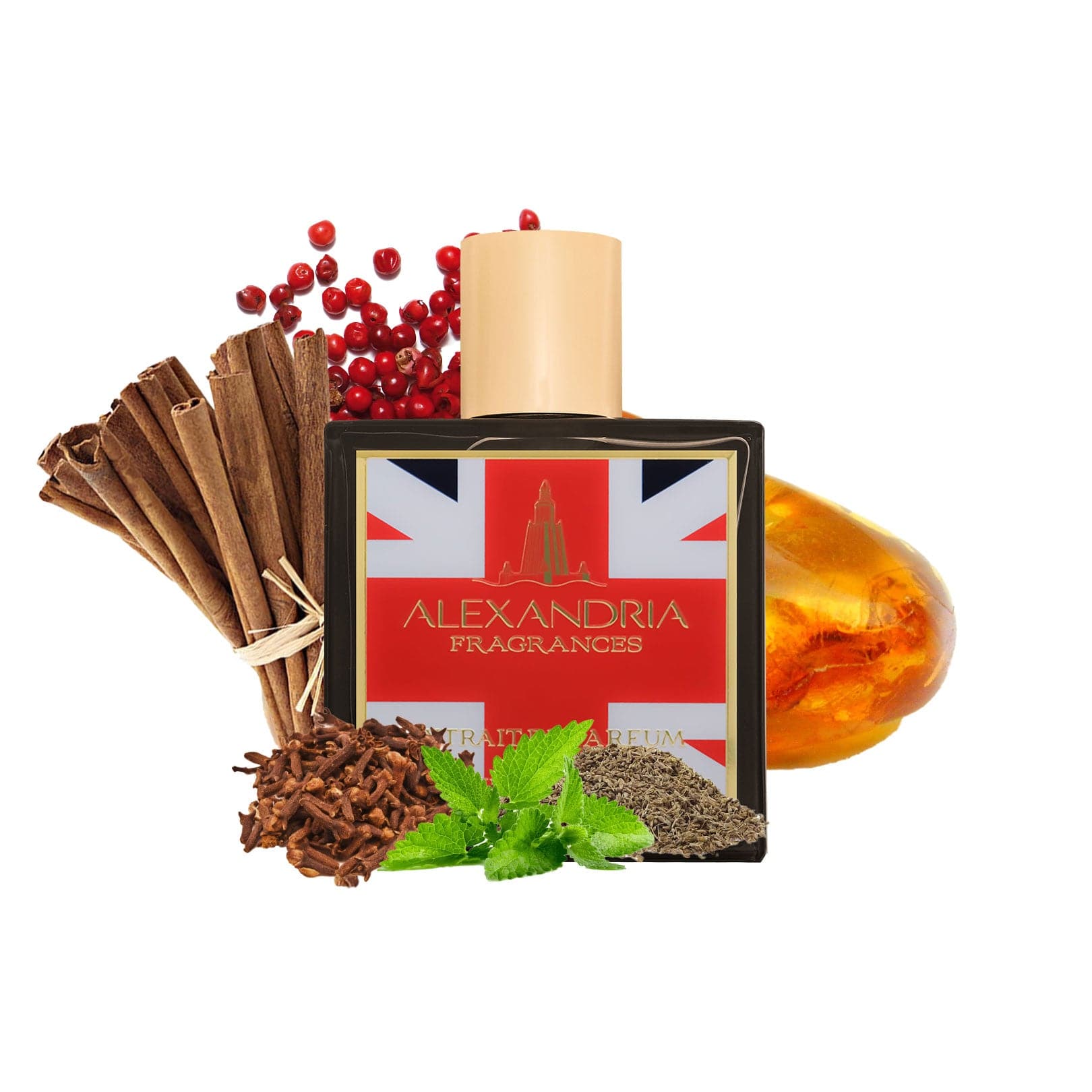 AMBER & SPICE (UK Exclusive) - AlexandriaUK