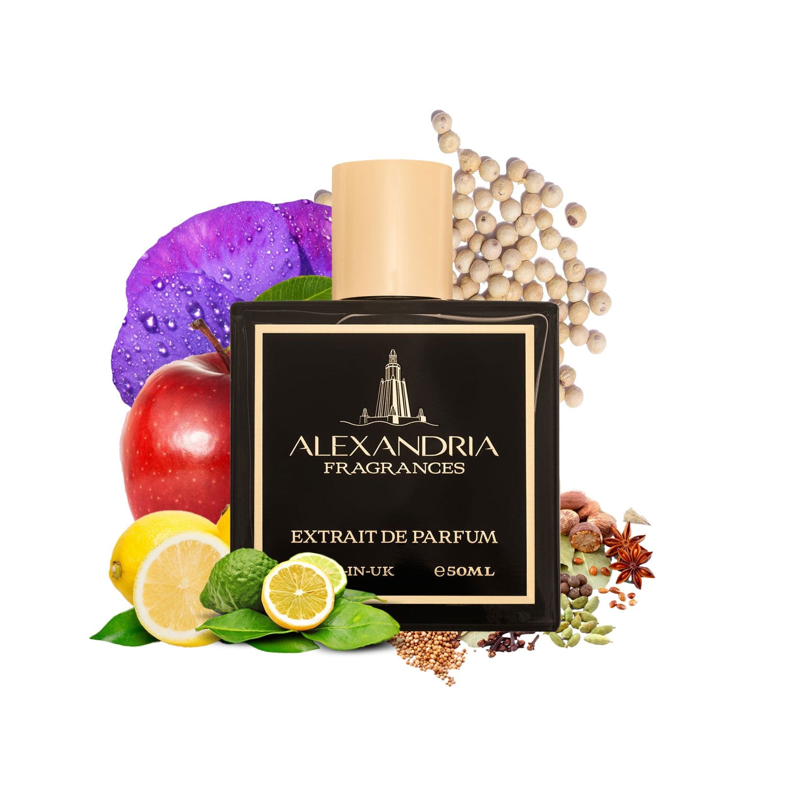 The Best #1 Arabian Forest Luxury Dupe Alternative clone
