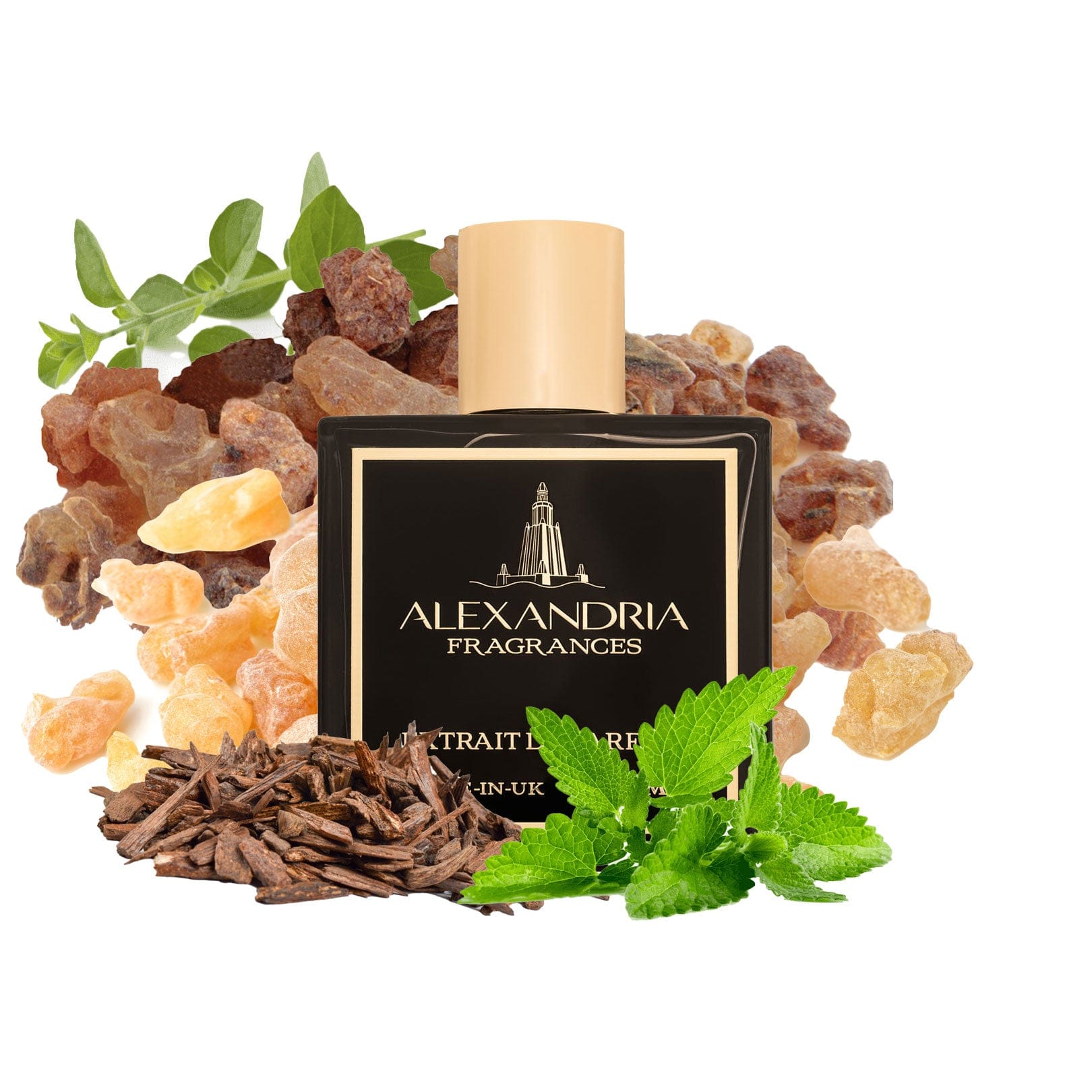 Aromatic Conflict Inspired By Amouage Interlude Man - AlexandriaUK