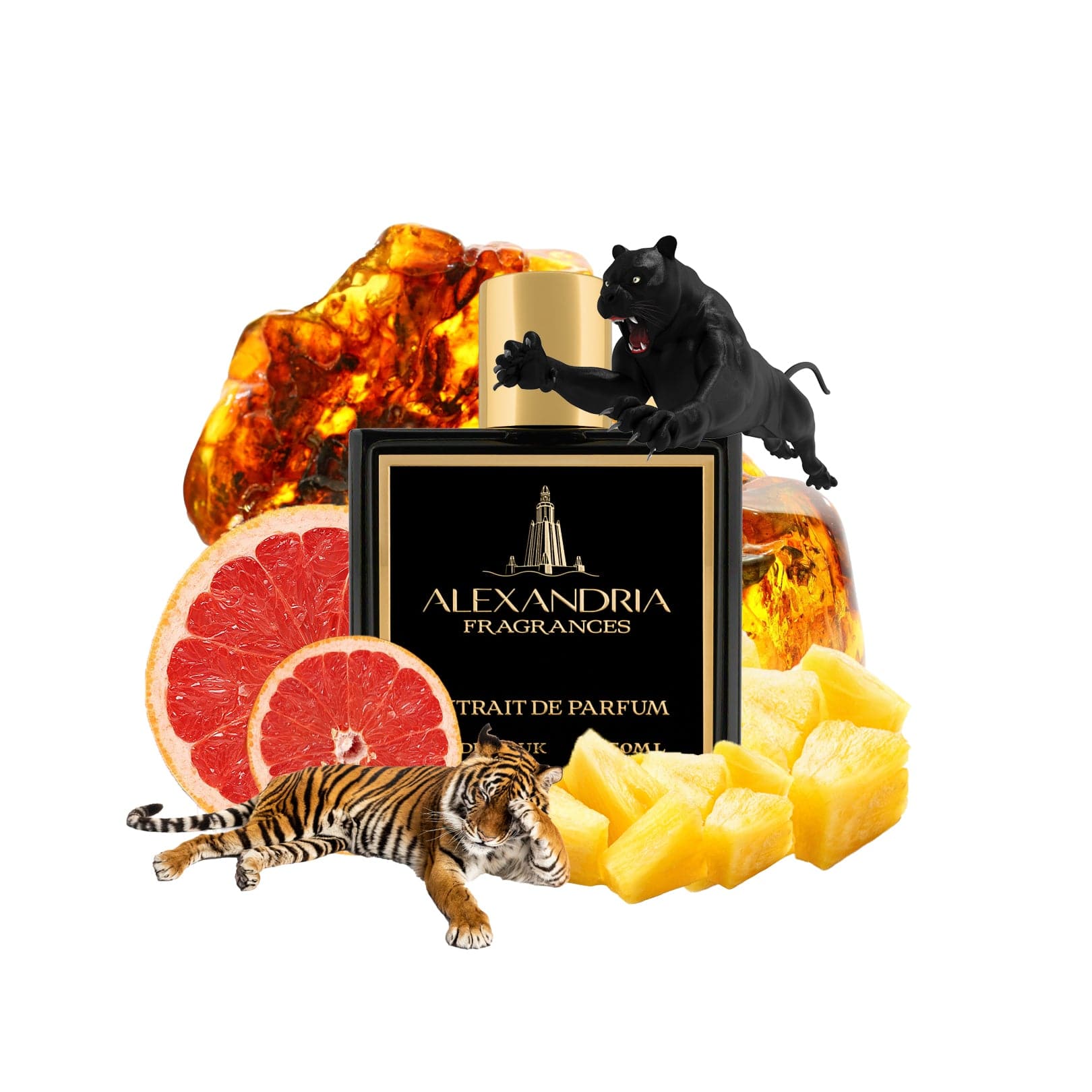 Black Panther Inspired By Bvlgari Tygar - AlexandriaUK