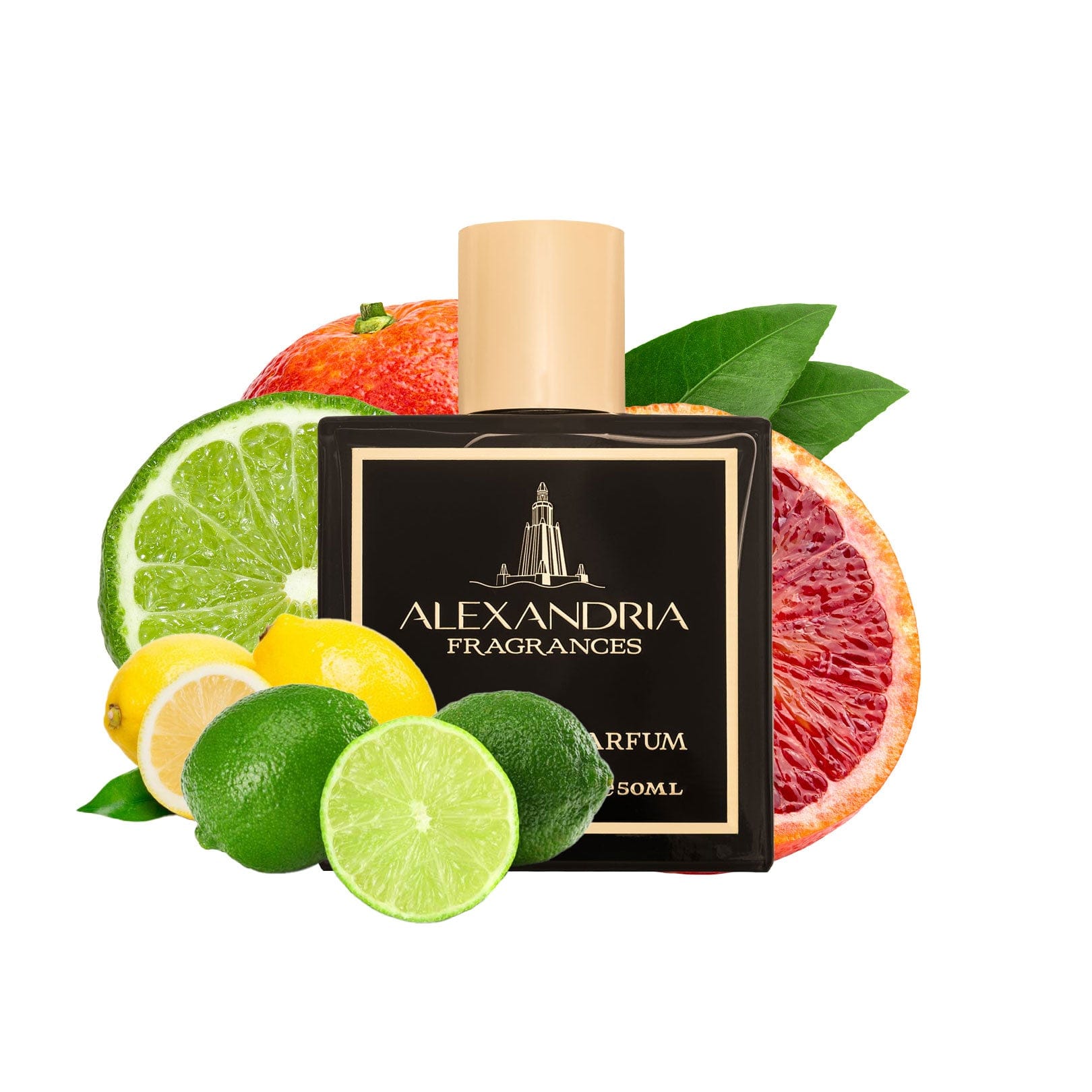 City of Angels Inspired By LV Louis Vuitton City Of Stars - AlexandriaUK