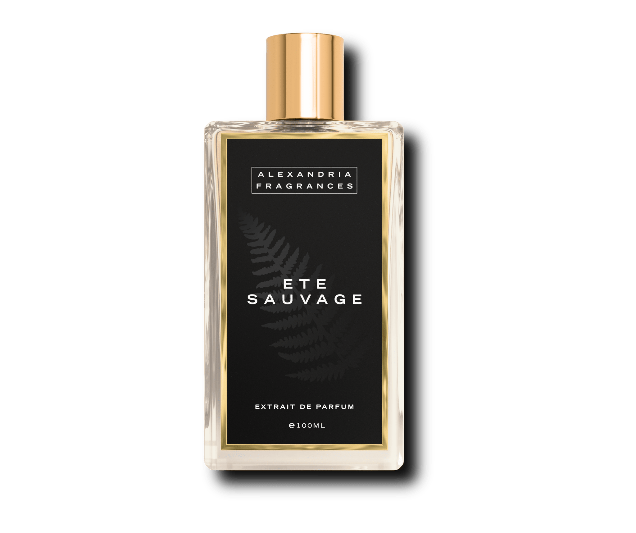 Ete Sauvage Inspired By Dior Sauvage EDP - AlexandriaUK