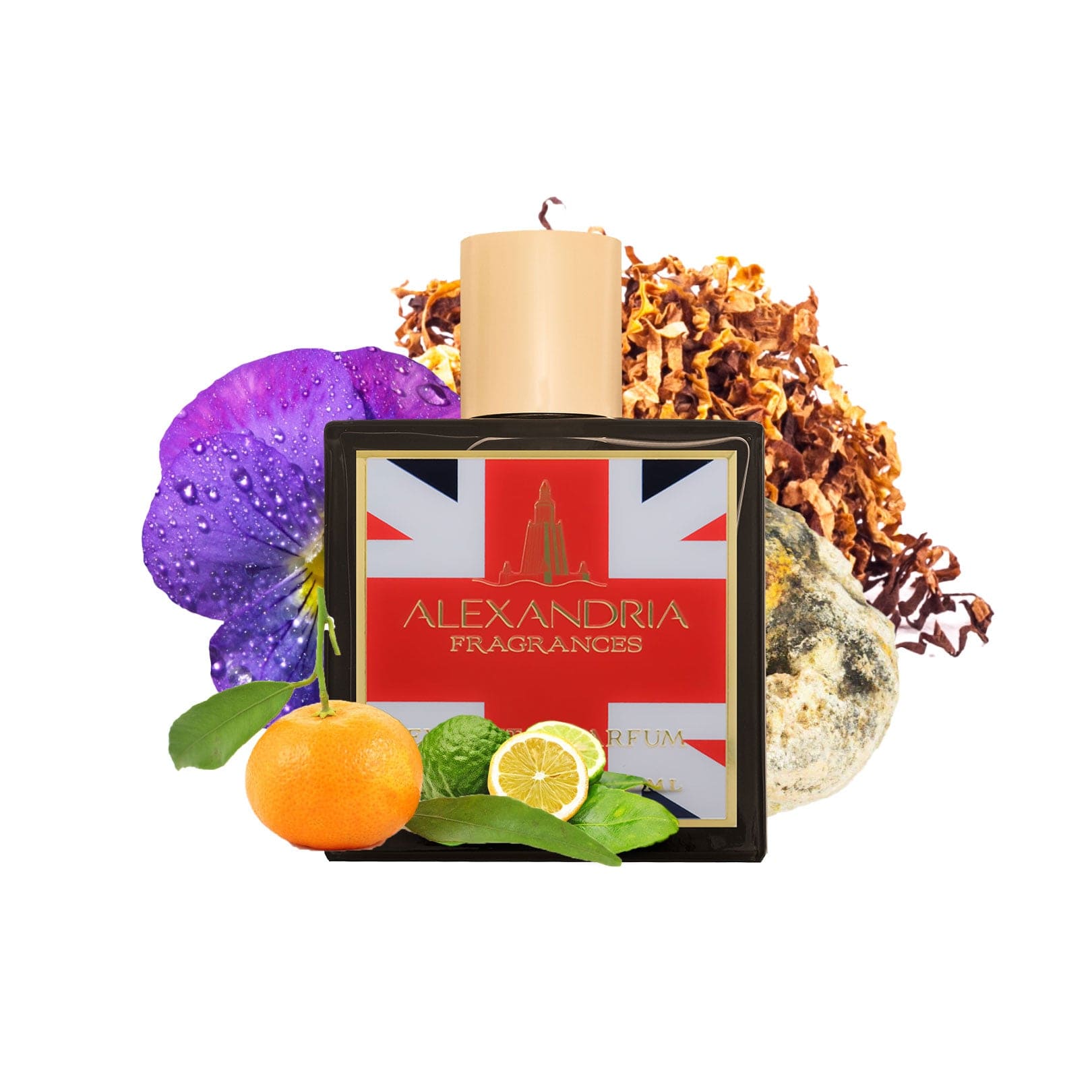 HAVANA TABAC Inspired By Montabaco (UK Exclusive) - AlexandriaUK