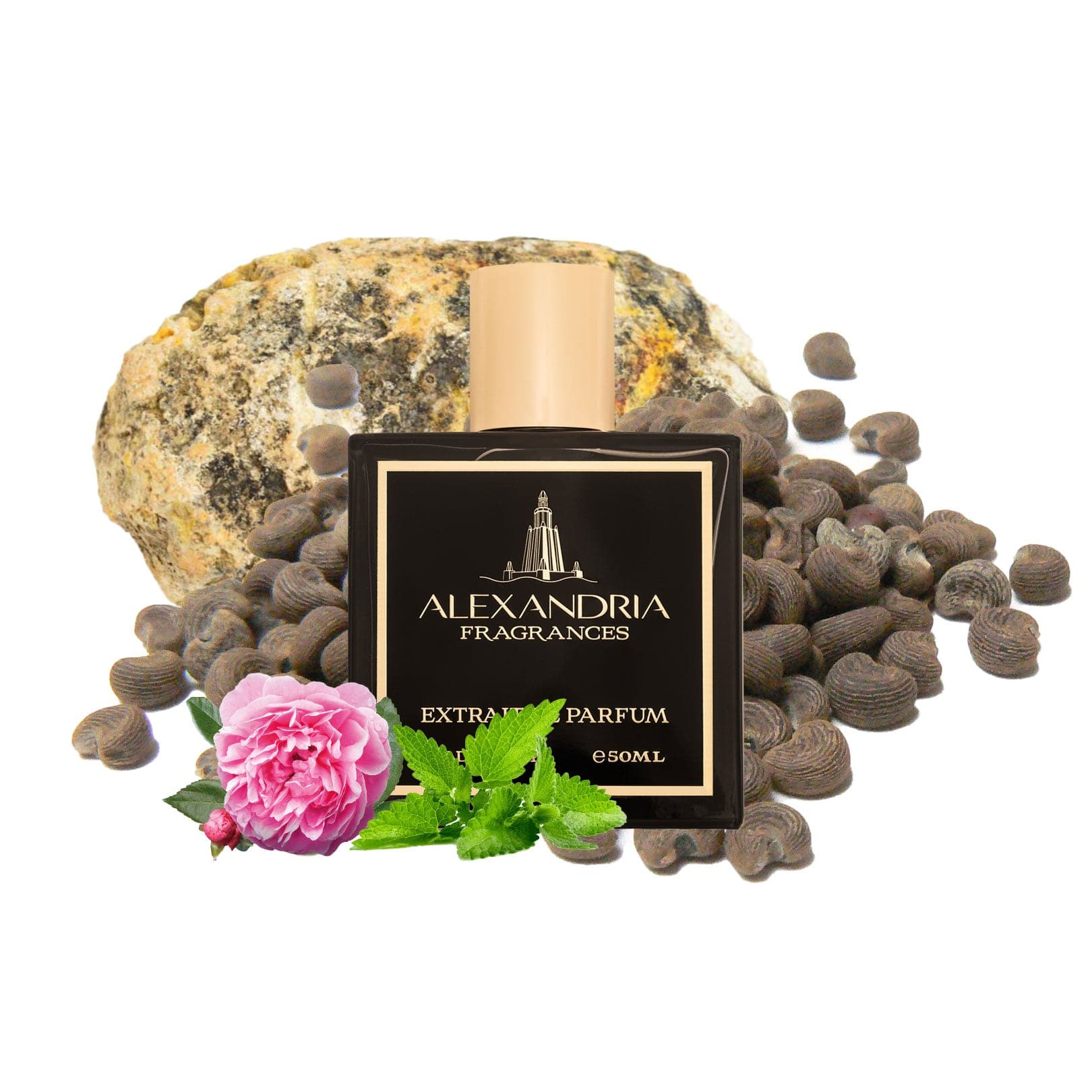 San Diego Exclusive Inspired ByLe Labo's Musc 25 - AlexandriaUK