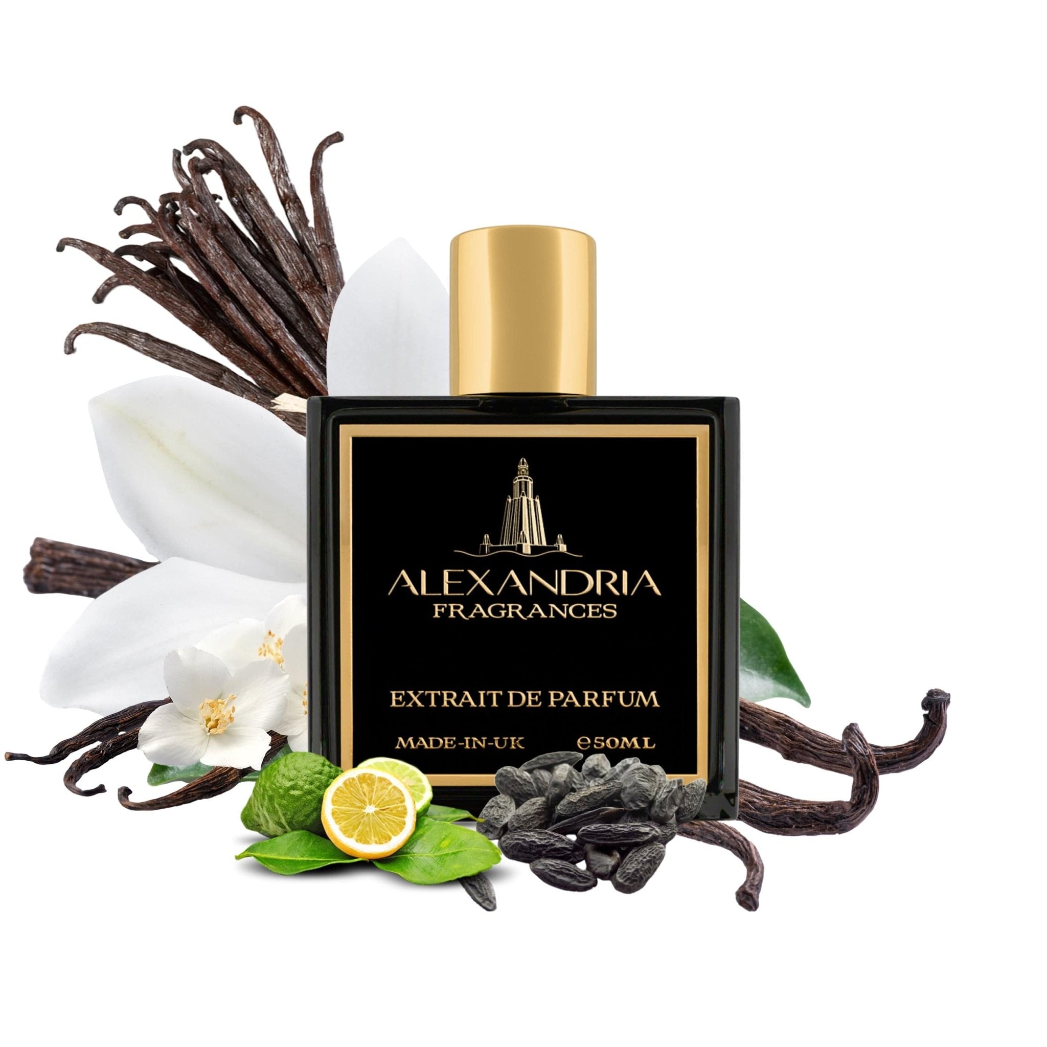 Splendid Vanille - AlexandriaUK