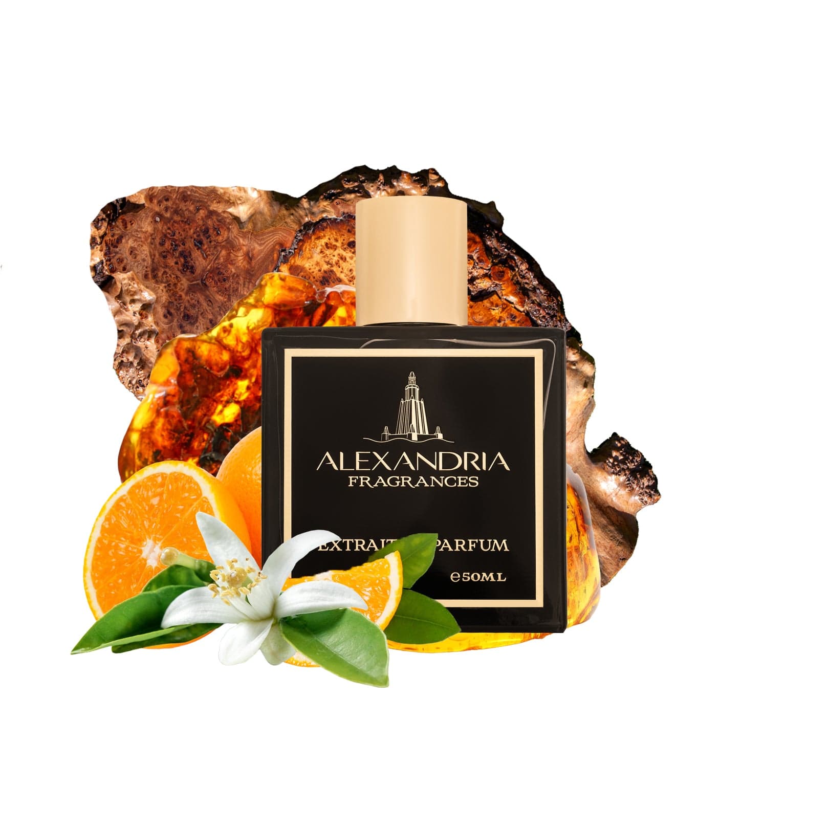 Stellar Moments Inspired by Stellar Times Louis Vuitton - AlexandriaUK