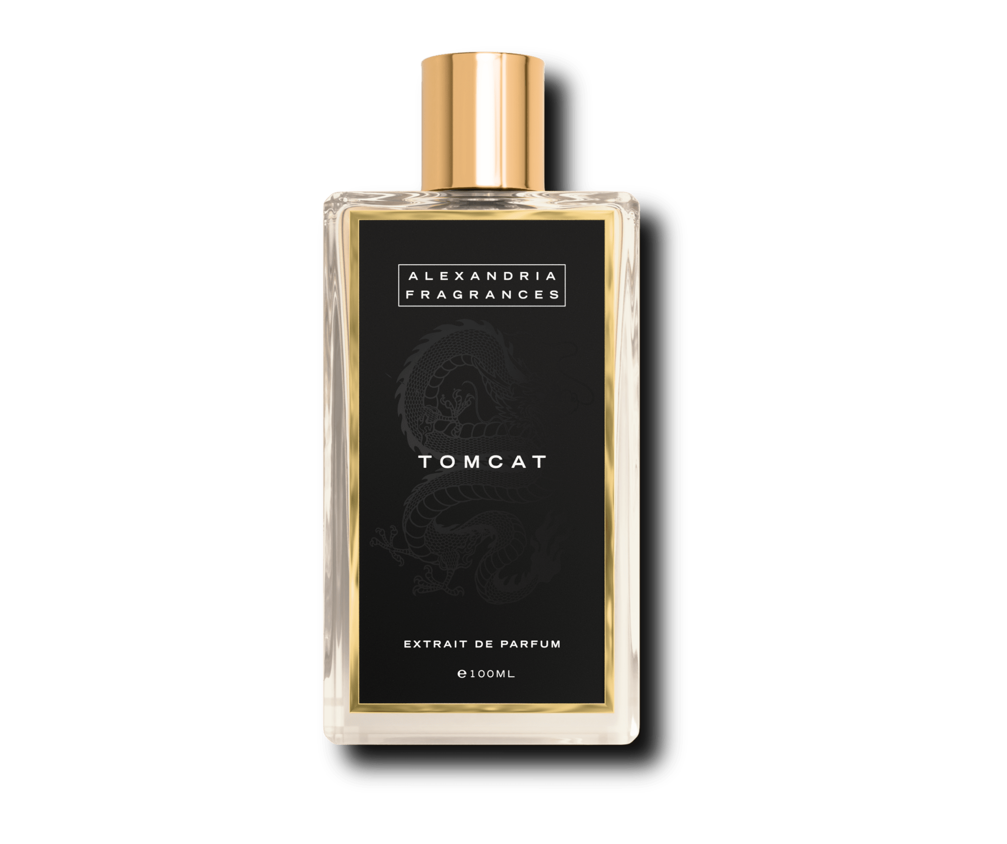 Tomcat Inspired by Babycat - AlexandriaUK