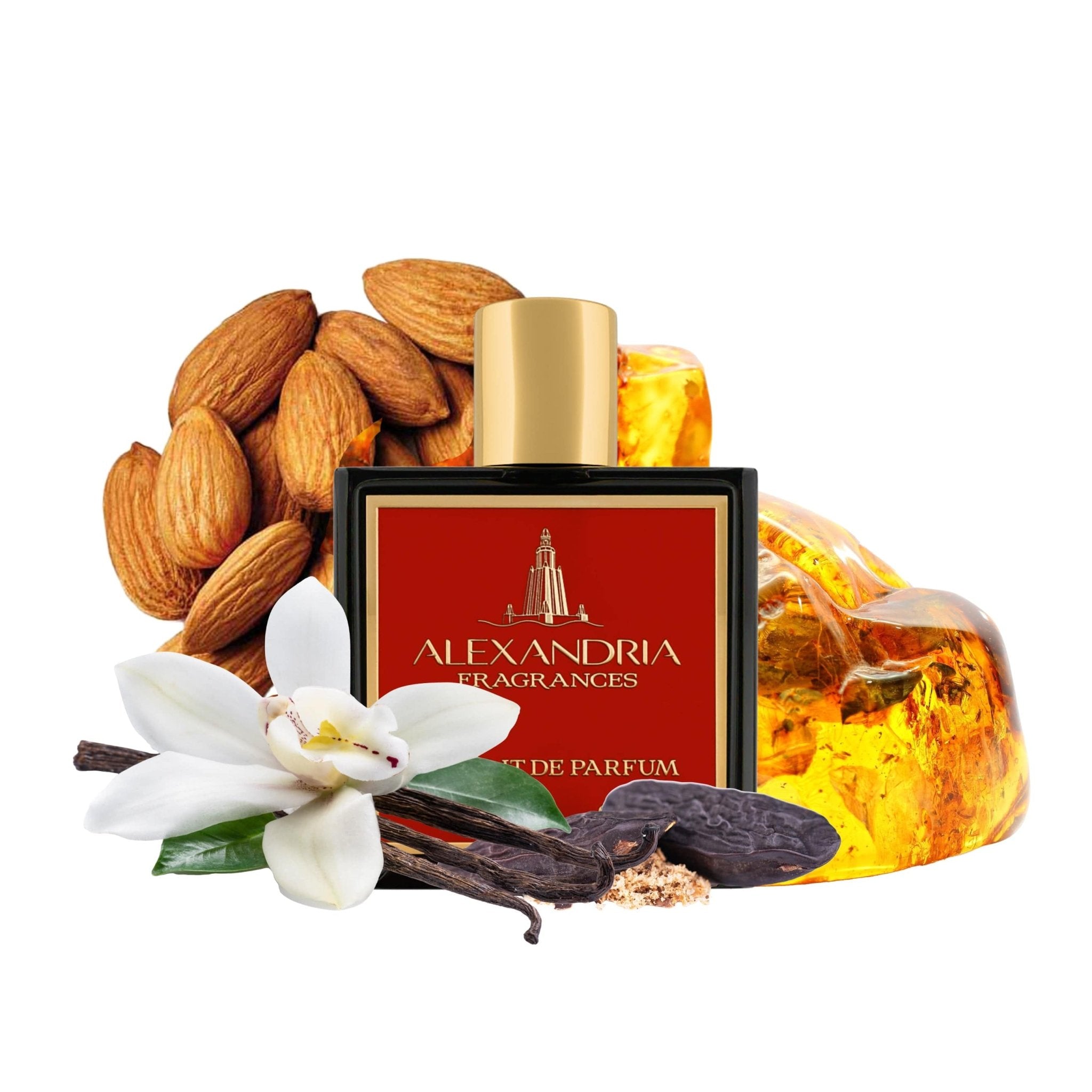 Vanilla Abuse - AlexandriaUK