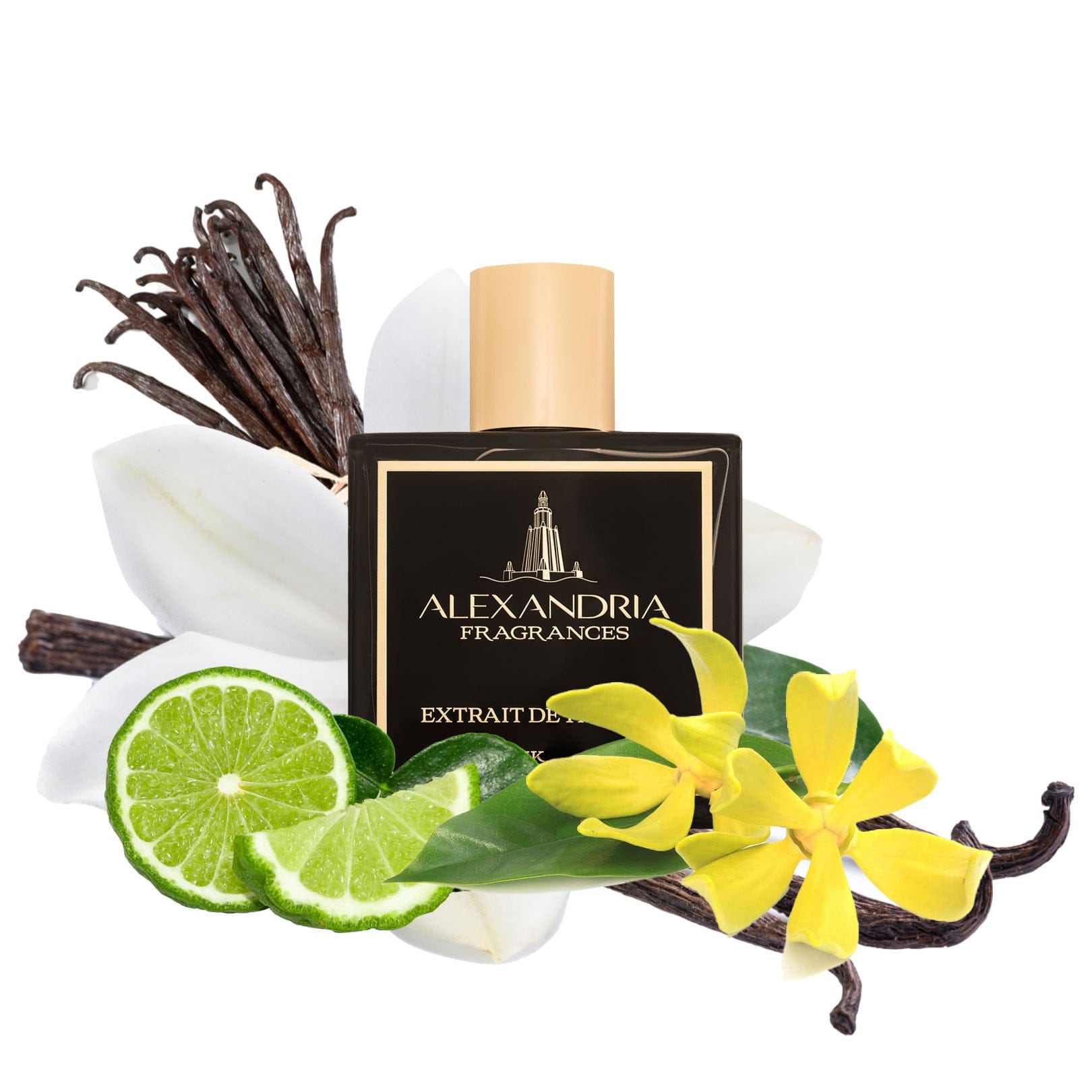 Vanille Doree Inspired By Guerlain Spiritueuse Double Vanille - AlexandriaUK