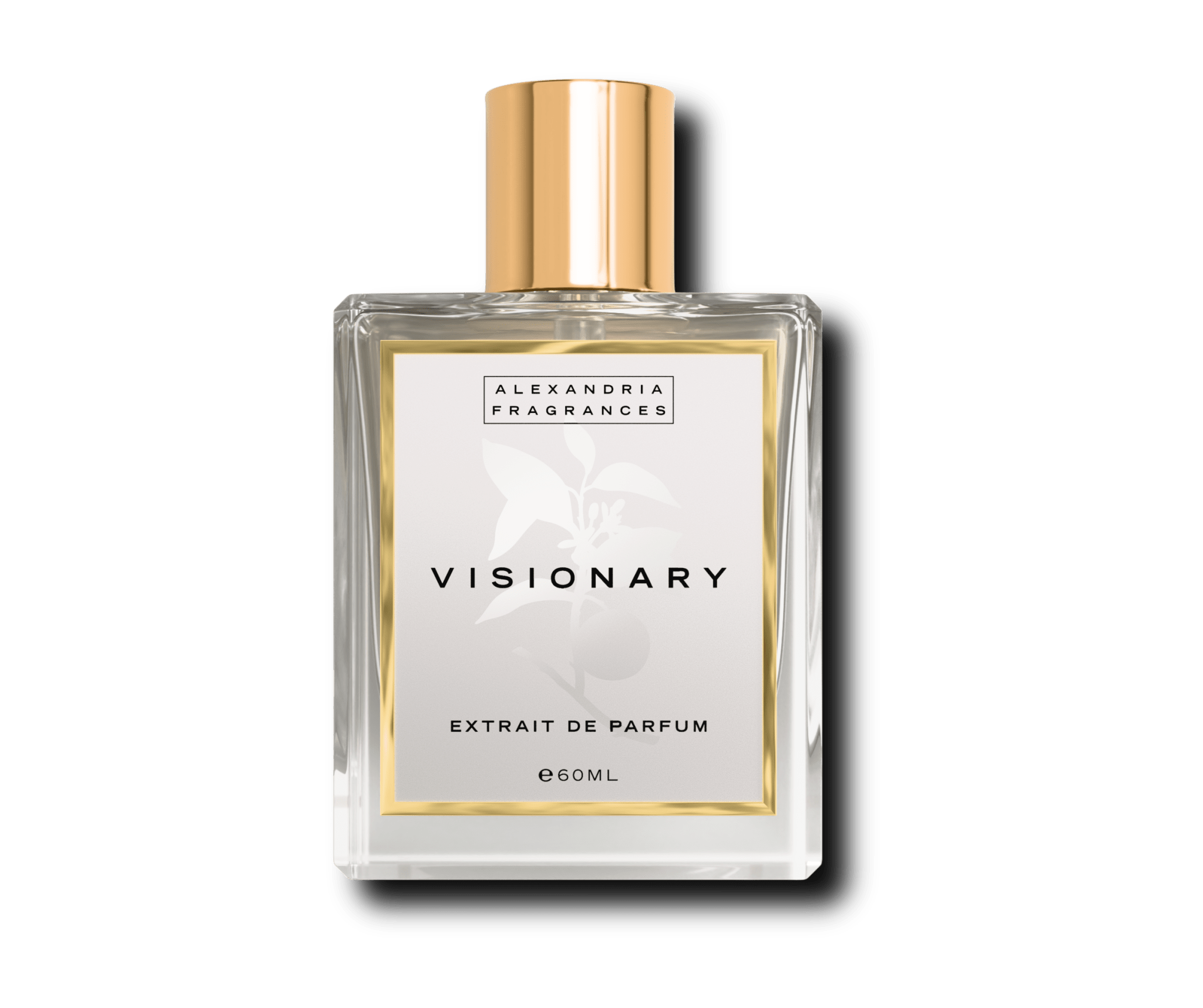 Visionary Inspired By Imagination LV Louis Vuitton