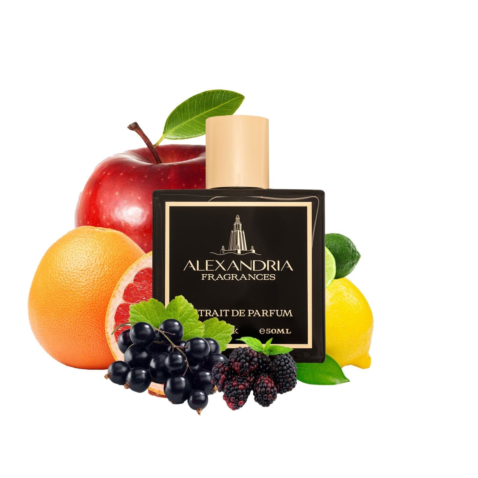 Dupe Perfumes Alexandria Fragrances UK Best Dupes & Clone Perfumes